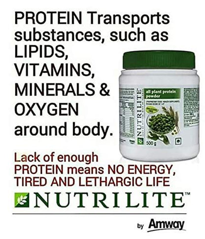 Amway Nutrilite All Plant Protein - 1 kg- image 2
