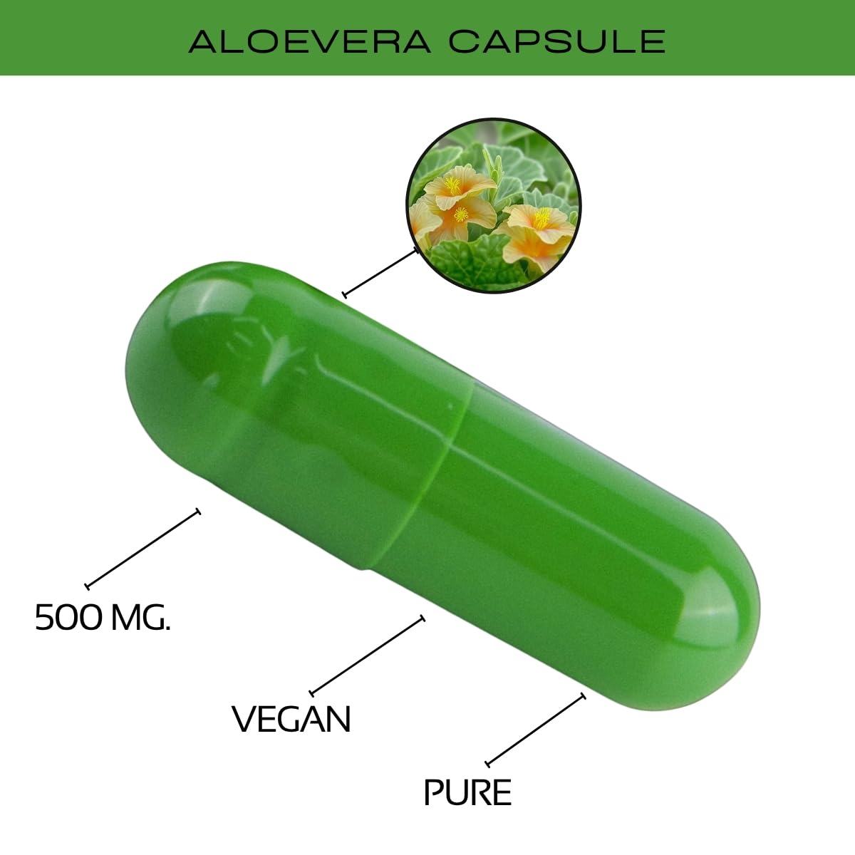 Morsan Healthcare Bala Capsules (Sida cordifolia) | 60 Veg. Capsules 500 Mg. | Made with Natural Ingredients (Pack of 1)