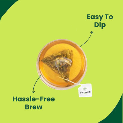 Botanical Sage- Guava Green tea 30 Pyramid Tea Bags | Relieves Stress | Controls Diabetes | Loose Leaf | Luxury Tea