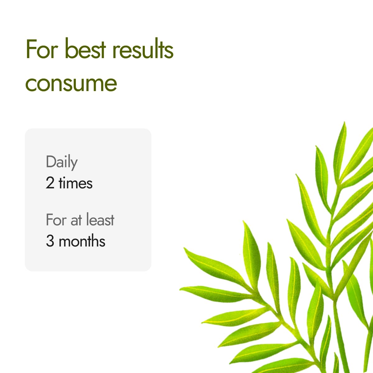 Kapiva Dia Free Capsules | Helps Manage Blood Sugar Levels With Karela,- image 4