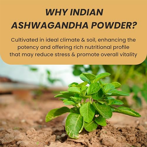 MYHERB 100% Pure Natural Organic Ashwagandha Powder || 227 Gm || Withania Somnifera || Ayurvedic Formula || Support for Stress-free Living- For Men And Women