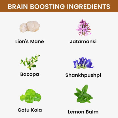 Rooted Active's Brain Booster - Brahmi Shankpushpi, Bacopa, Lions Mane- image 5
