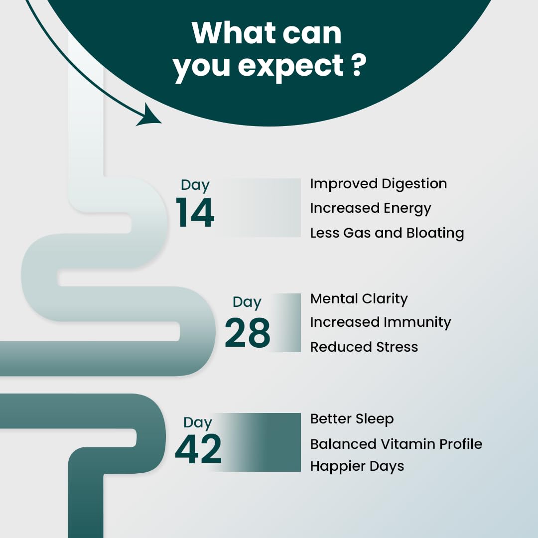 Supply6 360 Ultimate Health Powder for Women & Men | Comprehensive Daily Supplement with 63+Vitamins, Minerals, Probiotics, and Superfoods | Supports Gut Health, Energy, Immunity (30 Servings)