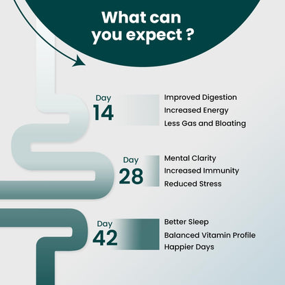 Supply6 360 Ultimate Health Powder for Women & Men | Comprehensive Daily Supplement with 63+Vitamins, Minerals, Probiotics, and Superfoods | Supports Gut Health, Energy, Immunity (30 Servings)