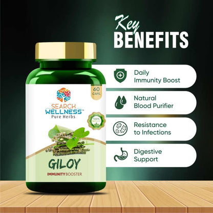 Search Wellness Ayurvedic Giloy (Guduchi) 60 Capsules (Pack of 1) | Herbal Giloy Ghanvati| for Blood Purification | Detoxifies The Body | Enhances Strength & Stamina | Natural Immunity Booster