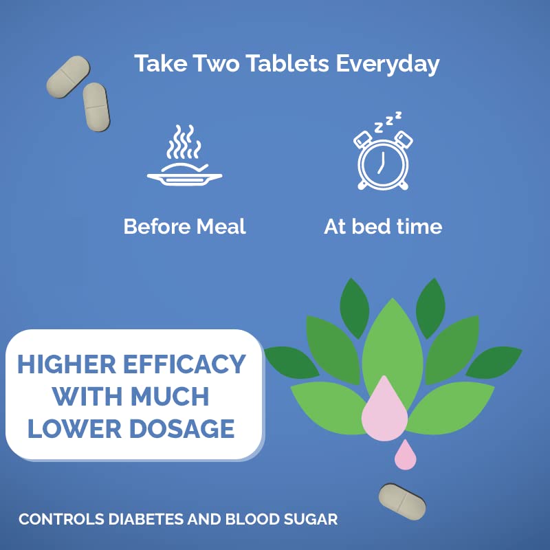 ZEROHARM HoloDiabetis - Blood Sugar Control Tablets - Diabetes care Tablets With Nano-formulated Jamun, Ashwagandha, Shatavari - All Organic - 100% Bioavailable - 60 Vegetarian Tablets