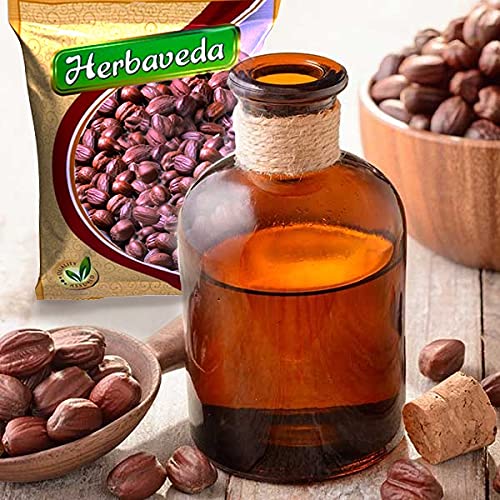 Herbaveda- Jojoba Seeds 500g For planting | Good for Skin & Hair