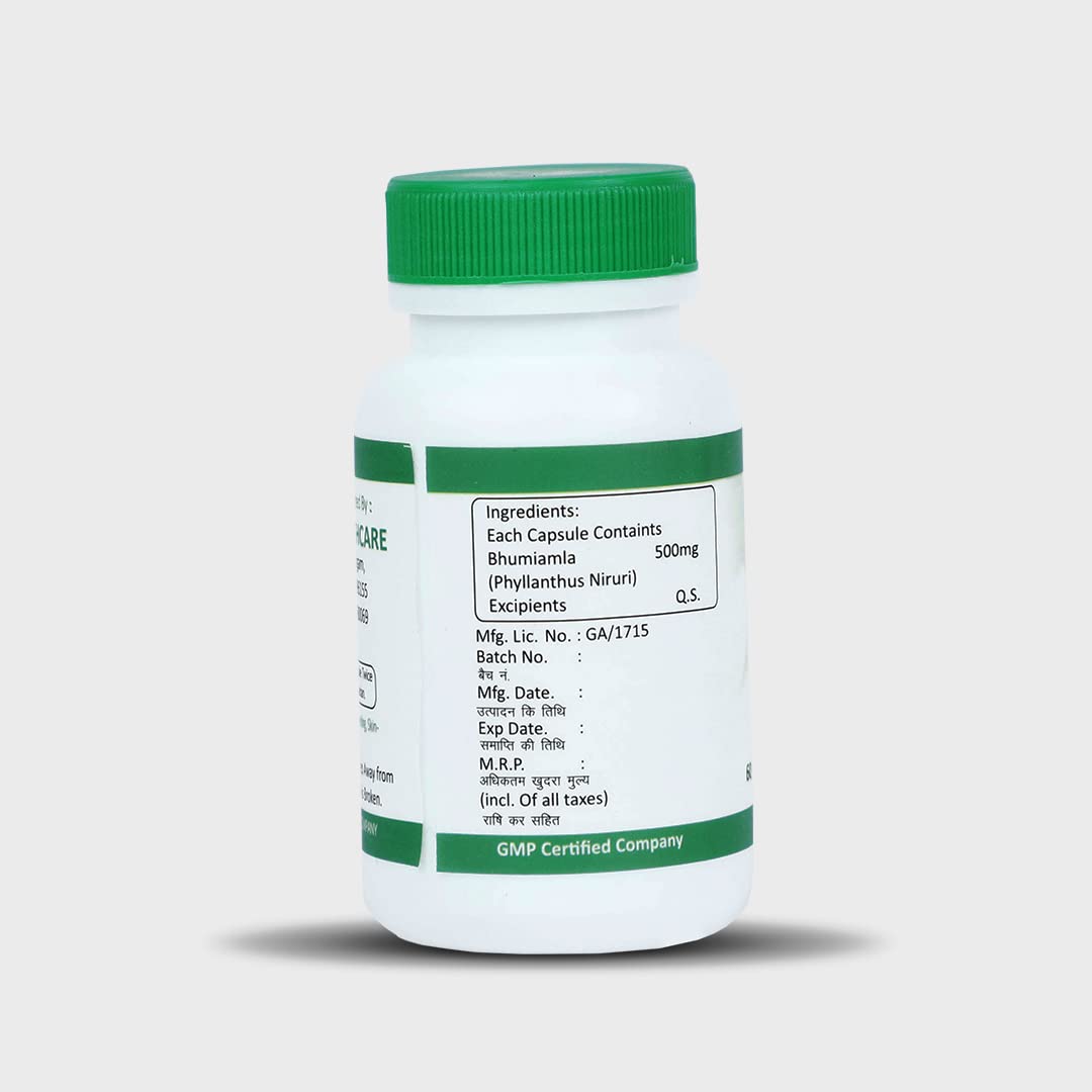 SONA HEALTH CARE Bhumi Amla, 60 Capsule(Pack of 2)