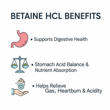 Vegetarian Betaine HCL with Pepsin and Herbs Digestive Enzyme | Protein Digestion Support | For Adult Daily Use Pack of 1 (60 Veg Tablets)