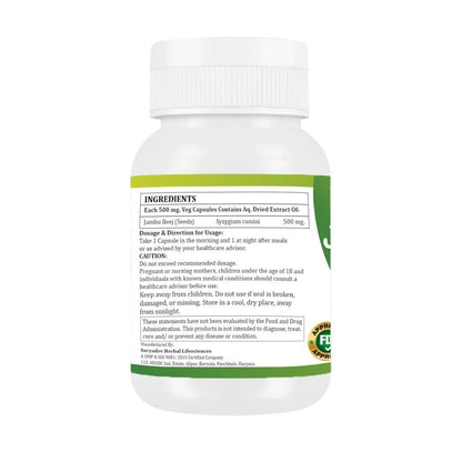 MORSAN HEALTHCARE | Jambu Beej Capsules 500mg – 60 Count | Vegetarian | Plant-Based | Herbal Supplement | No Artificial Additives | Gluten-Free | Organic (pack of 2)