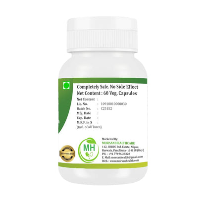Morsan Healthcare Silymarin Milk Thistle Extract 500 mg Capsules (Silymarin 80%) | Herbal Supplement | 60 Vegetarian Capsules | Standardized Botanical Extract | Plant-Based Formula | (PACK OF 1)