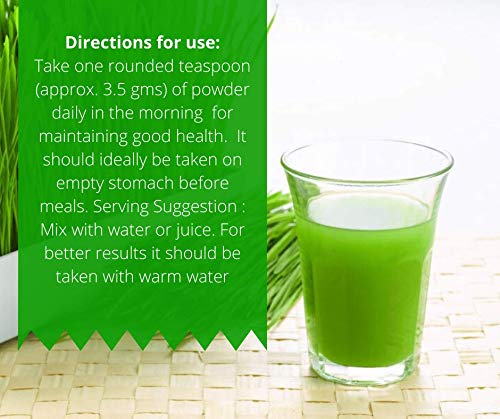 Herbal Hills Wheatgrass Powder, (1kg Pack) | Supports Detox, Immunity &- image 2