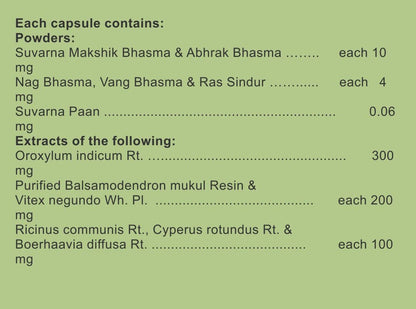 Charak Pharma Rymanyl Capsule for arthritis & joint pain- 20 Capsules (- image 2