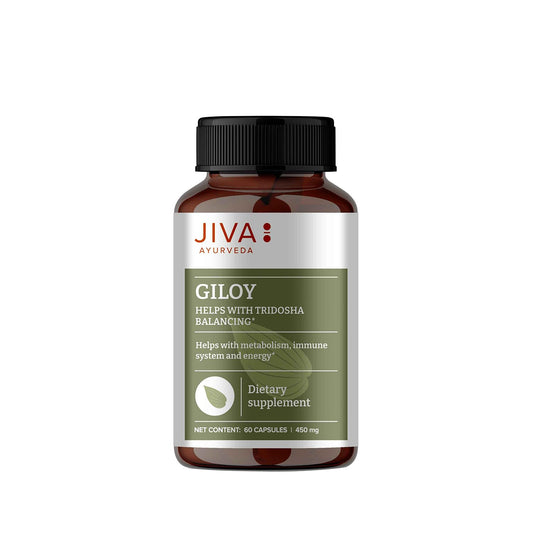 Jiva Giloy - 60 * 1 Capsule for Digestion | 100% Pure & Natural | Ageing and Immunity Boost | Herbal Supplements | Rich In Antioxidants