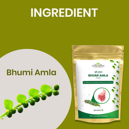 Vedikroots Bhumi Amla Powder/Churn - Organic And Pure Ingredient Extrac- image 5