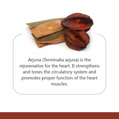 Jain Arjun Chaal (Terminalia Arjuna) - 500 g