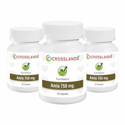 CROSSLANDS Pure Extract of Amla Capsules | 750mg | Natural Antioxidant | Immunity Enhancer | Natural Source of Vitamin C | Hair Growth Herbal Supplement | Improve Heart Health & Lower Cardiac Risk | Maintain Tryglycerides levels | Reduce Visceral Fat | 60