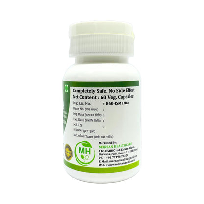Morsan Healthcare KUTAJA Capsules – 60 Veg Capsules | Holarrhena Antidysenterica Extract | Natural Herbal Supplement | Ayurvedic Wellness Support (pack of 2)
