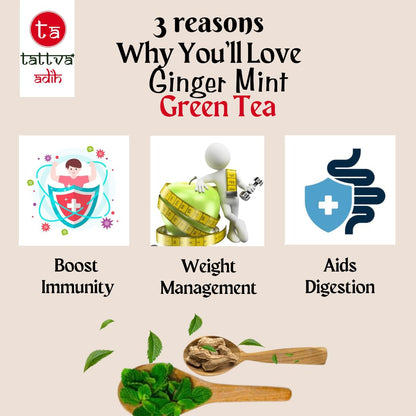 Tattva Adih Ginger Mint Green Tea 100g 60+ Cups | Aids Digestion | Refreshing Whole Green Tea & Natural Ginger Mint (100 grams (Ziplock Pouch))