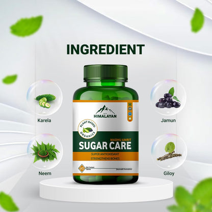 Divya Himalayan Sugar Care Supplement | 60 Tablets | Supports Healthy Blood Sugar Levels | Herbal Blend with Bitter Melon, Gymnema & Fenugreek