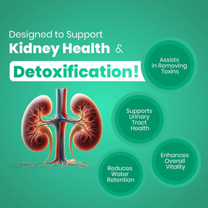 CUREFOREVER Kidney Detox & Cleanser Capsules | Herbal Formula with Varuna, Punarnava, Kapikachu & Flaxseed Extract | Plant-Based | Supports Kidney Health & Urinary Function - 60 Veg Capsules