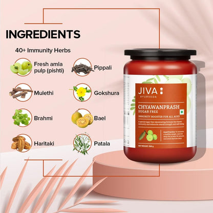Jiva Sugar Free Chyawanprash | 500gm (Pack of 1) | 100% Pure & Natural- image 5