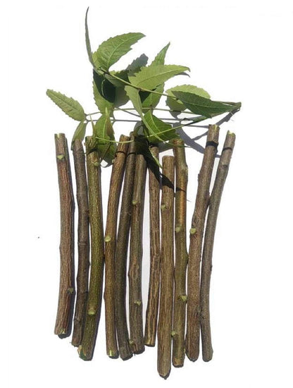 Haryans health care, Neem stick for teeth brush (pack of 20) pure ayurvedic natural and organic