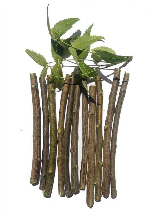 Haryans health care, Neem stick for teeth brush (pack of 20) pure ayurvedic natural and organic