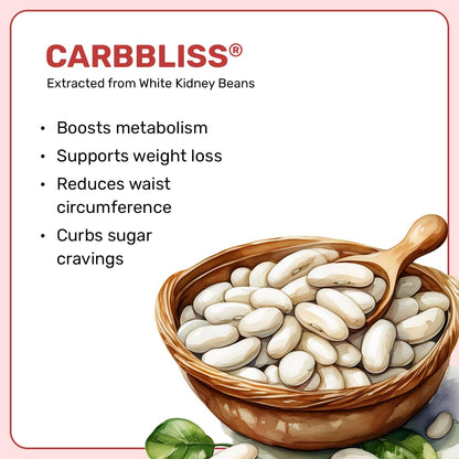 What's Up Wellness Daily Burner Capsules with CarbBliss® & ACV For Wome- image 6