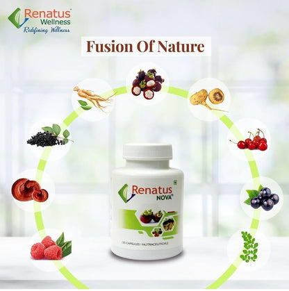 Nova 120 Ayurvedic Capsules with 12 Herbal Ingredients | Natural Energy, Immunity & Strength Support Supplement | Daily Health Care Capsules for Men & Women | Pack of 1