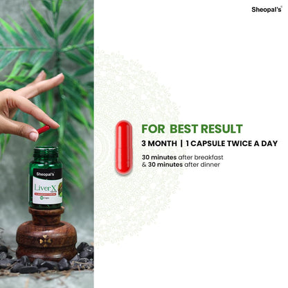 Sheopal's Liver X – Ayurvedic Liver Detox Supplement with Kutki – Suppo- image 3