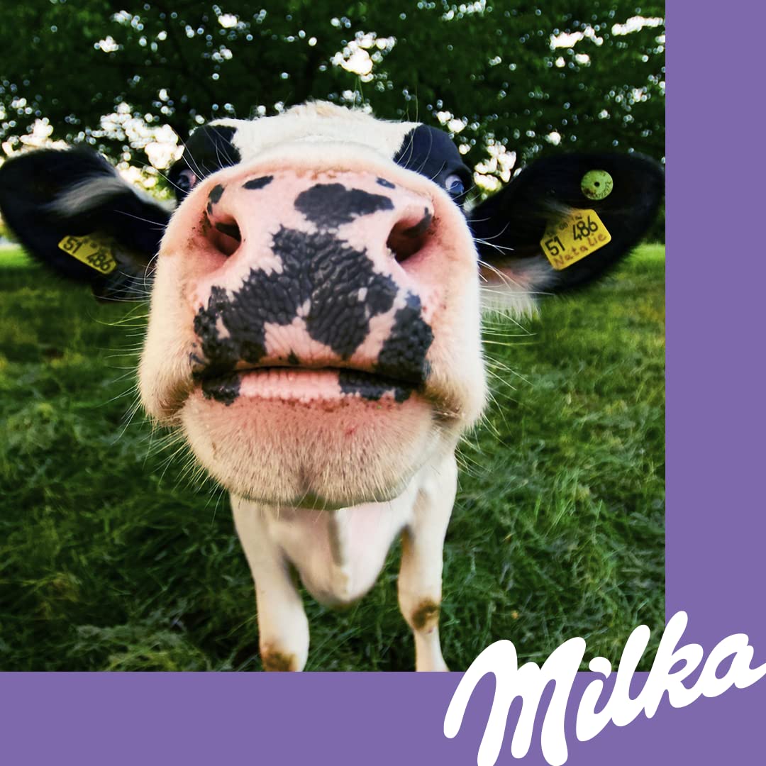 Milka Caramel 100% Alpine Milk Chocolate, 100 g