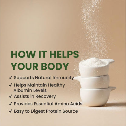 Madren Healthcare Egg Albumen Protein Powder | Unflavoured | Egg White Protein Powder | Non-GMO Gluten-Free Lactose-Free | Natural Protein Source | Easy to Add in Daily Diet | Healthy Diet (200gm)