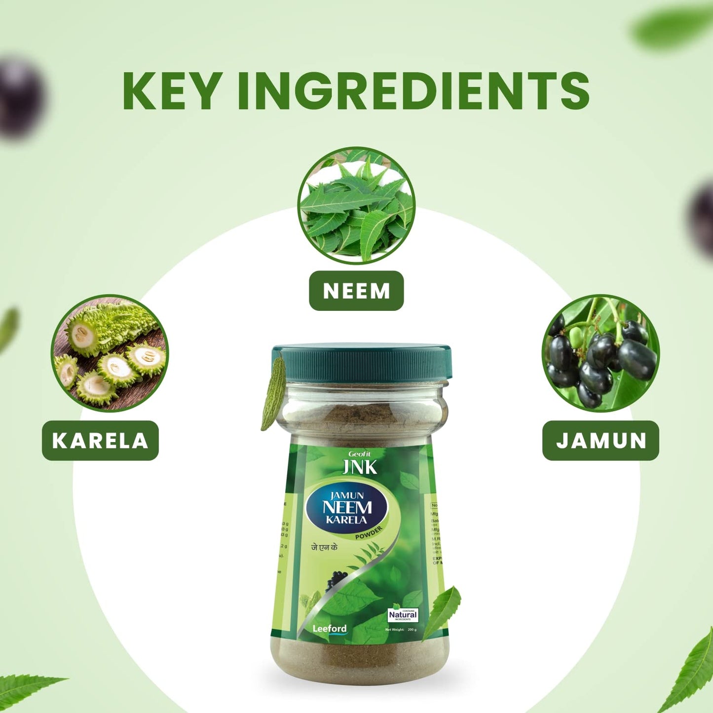Geofit Jamun Neem Karela Powder - Pack of 2 (200g Each) | Made with Pure & Natural Herbs of Jamun, Neem & Karela | Natural Detoxifier | Improves Immune System | Regulates Metabolism | skin Purfiier