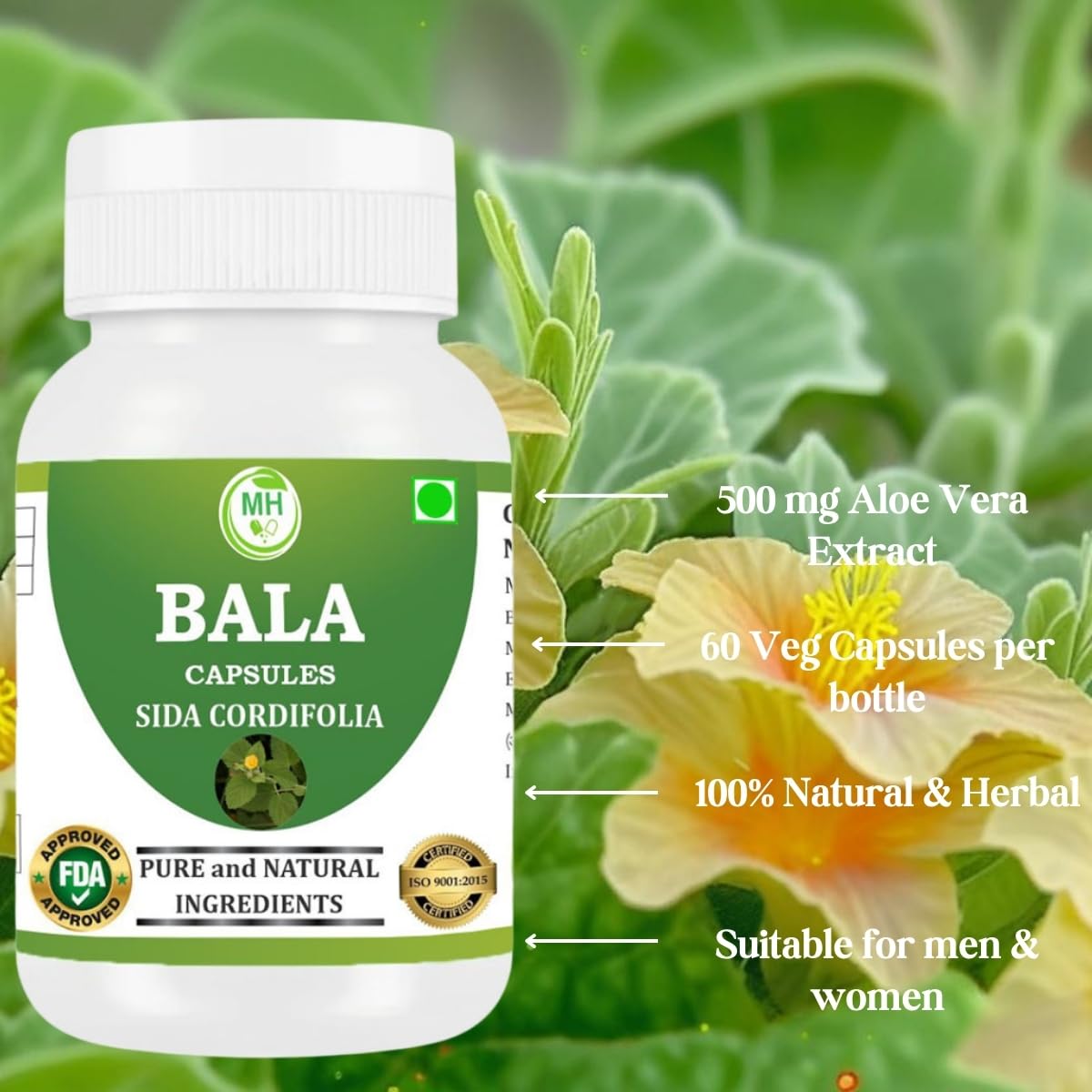 Morsan Healthcare Bala Capsules (Sida cordifolia) | 60 Veg. Capsules 500 Mg. | Made with Natural Ingredients (Pack of 1)