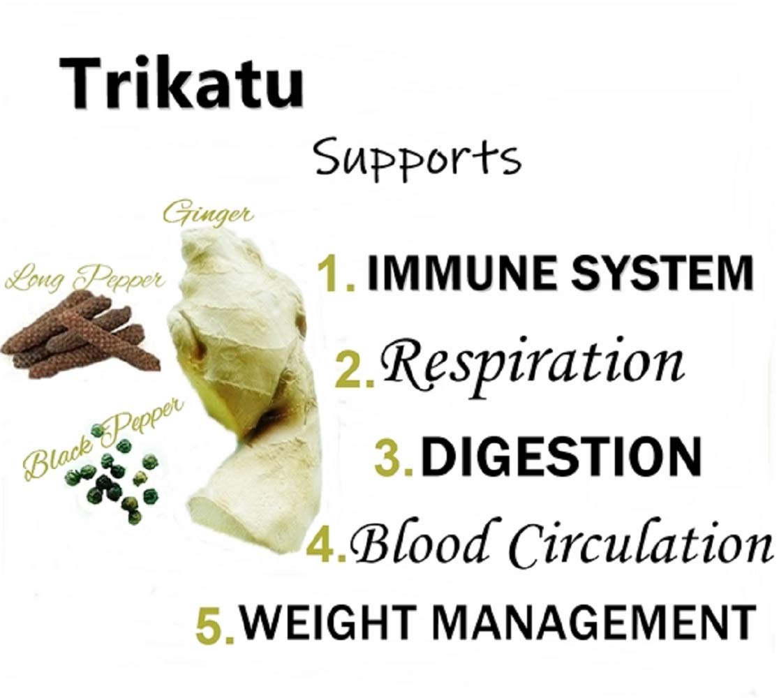 Himalaya Wellness Pure Herbs Trikatu Digestive Wellness - 60 Tablet- image 3