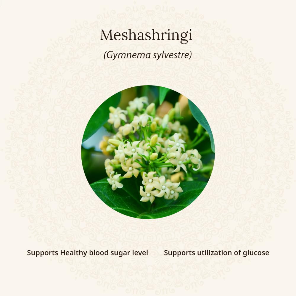 Amarantha Nu-Diabulin Tablet for Blood Sugar Support - 60 Tablets | Contains Meshashringi extract, Karela extract & Bijaka extract | Fortified with Alpha Lipoic Acid & Zinc |FSSAI Approved |Heavy Metal Tested || Supports healthy Insulin levels & Glucose M