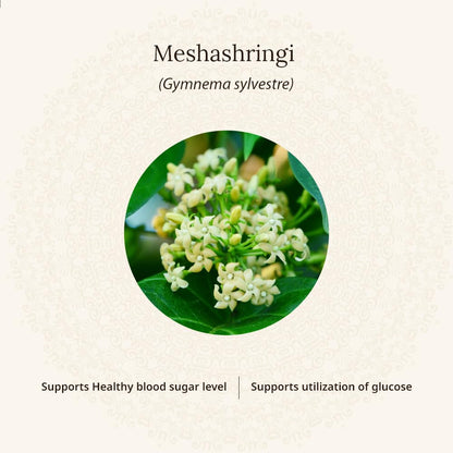 Amarantha Nu-Diabulin Tablet for Blood Sugar Support - 60 Tablets | Contains Meshashringi extract, Karela extract & Bijaka extract | Fortified with Alpha Lipoic Acid & Zinc |FSSAI Approved |Heavy Metal Tested || Supports healthy Insulin levels & Glucose M