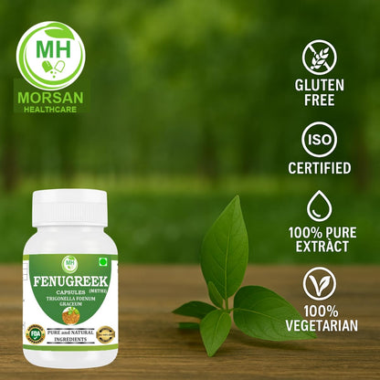 Fenugreek Capsules 500 mg – 60 Veg Capsules x 2 Pack | Methi Seed Extract | Natural Herbal Supplement | Vegan-Friendly