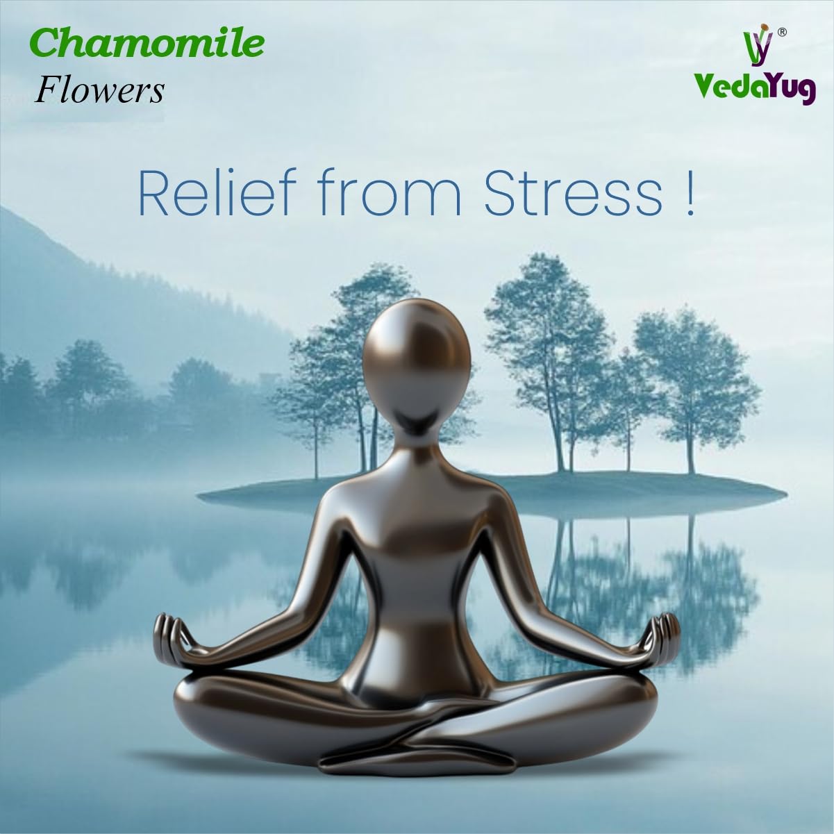 VY VedaYug Chamomile Tea for Sleep - 30g Whole Dried Chamomile Flower Tea for Relaxation & Evening Calm, Caffeine Free Loose Leaf Herbal Infusion for Better Nighttime Rest & Peaceful Mind