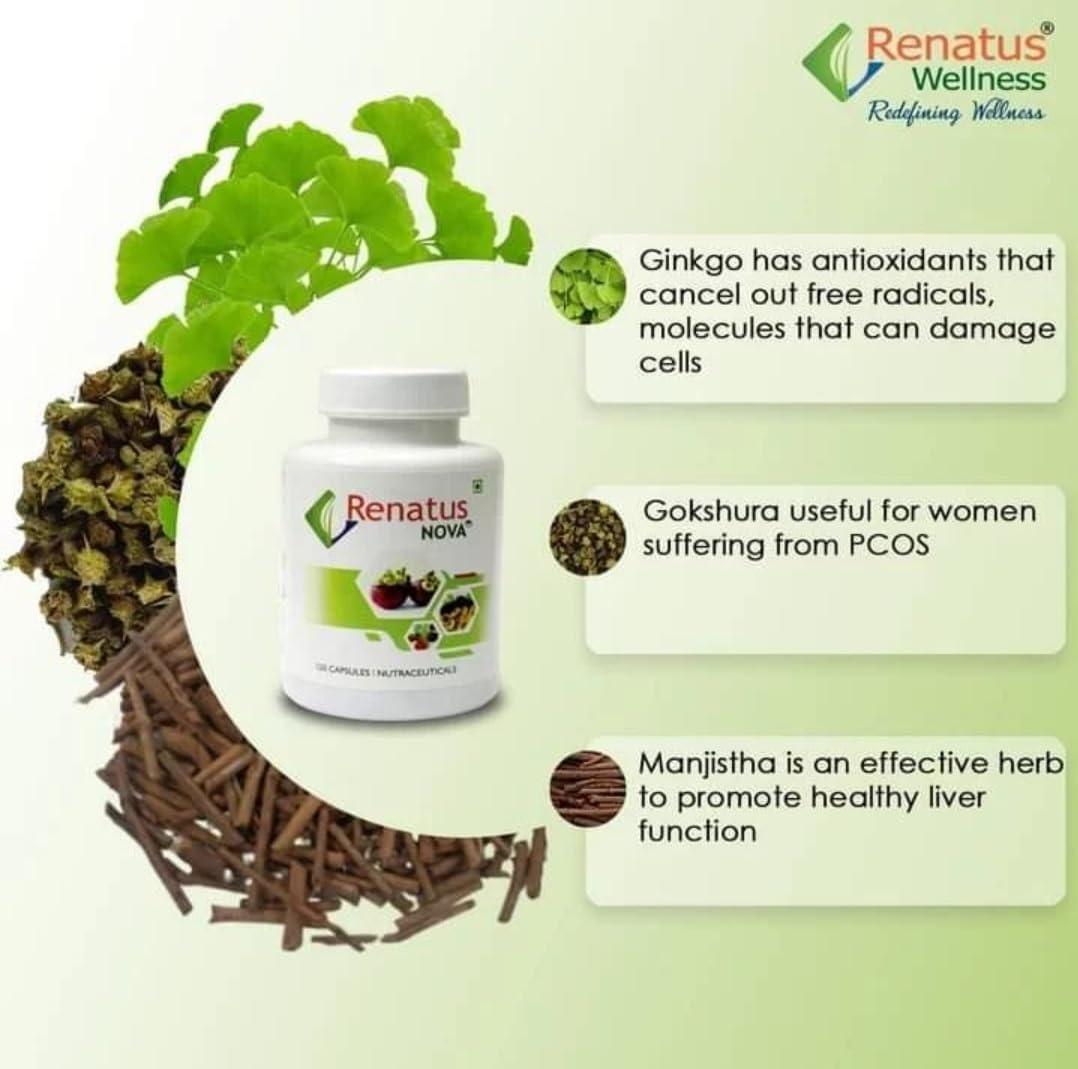 Nova 120 Ayurvedic Capsules with 12 Herbal Ingredients | Natural Energy, Immunity & Strength Support Supplement | Daily Health Care Capsules for Men & Women | Pack of 1