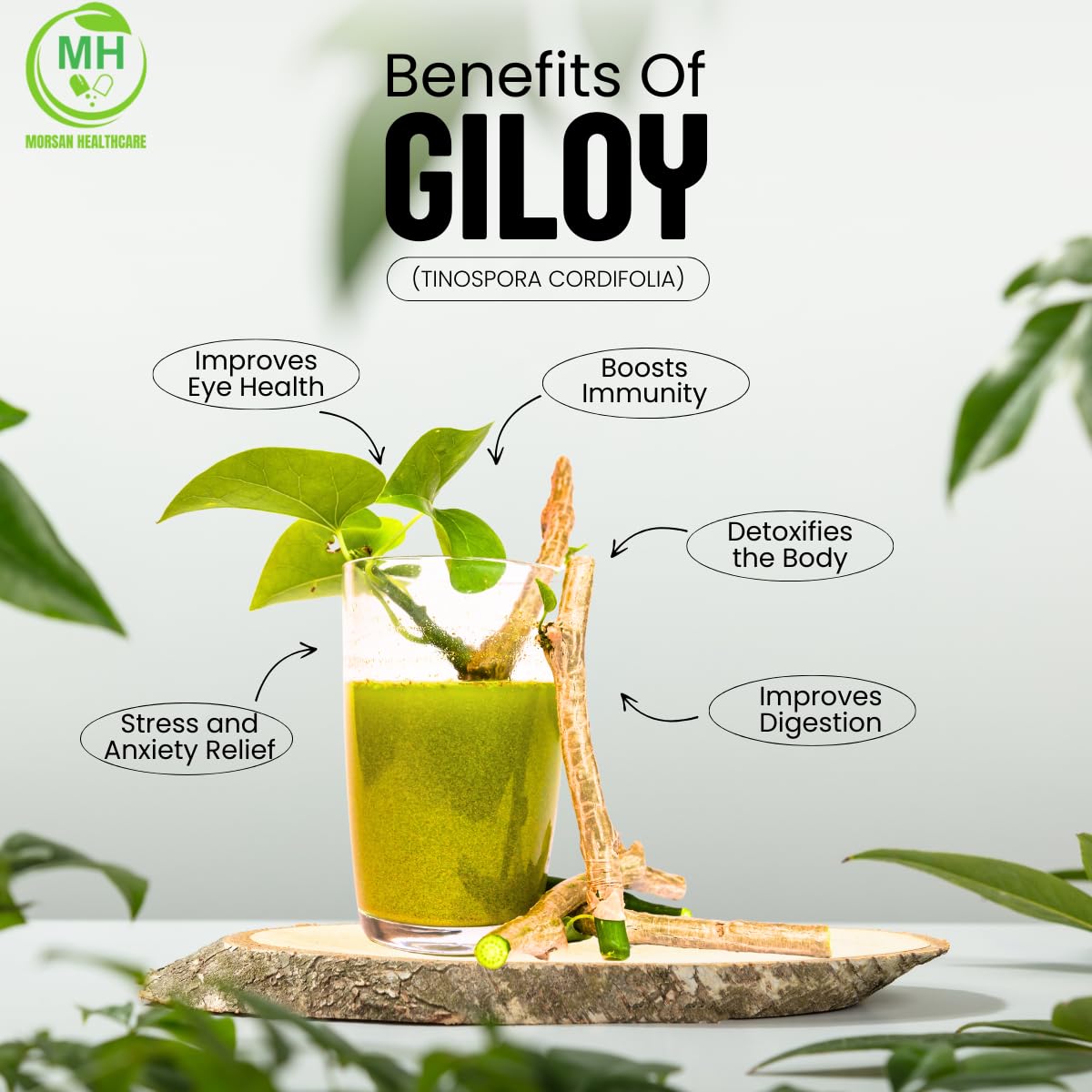 Morsan's Giloy (Tinospora cordifolia) Capsules, Pack of 60 x 500 mg. Veg. Capsules (1)