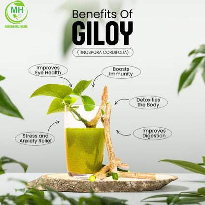 Morsan's Giloy (Tinospora cordifolia) Capsules, Pack of 60 x 500 mg. Veg. Capsules (1)
