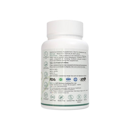Autoimmunity Care H Pylori Care – Mastic Gum & Berberine Supplement for Gut Health | H. Pylori Care Capsule for Stomach Comfort & Digestive Wellness | Gut Care Supplement | 90 Caps (90 doses)