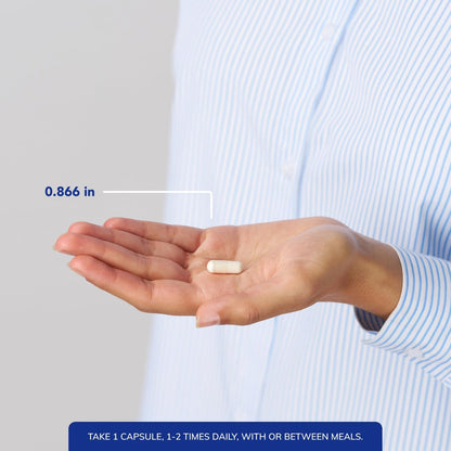 Pure Encapsulations - Probiotic G.I. - Probiotic Blend to Support Healthy Immune Function Within the Gastro Intestinal Tract* - 60 Capsules