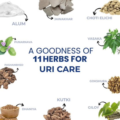 Indus Uri Care Herbal Uric Acid Support Juice 500 ML | Helps Maintain Uric Acid Balance & Joint Comfort | Ayurvedic Wellness Formula