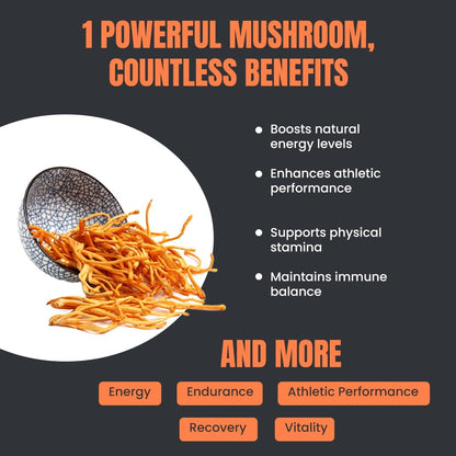 R ROOTED ACTIVE NATURALS Cordyceps Mushroom Supplement, Organic Extract Tincture | For Energy, Stamina, Supports Respiratory & Kidney Health| Non Gmo, No Alcohol Exctract | 30 Ml - 60 Servings