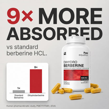 Dihydroberberine (DHB) 500mg Capsules | Advanced Berberine Supplements | Support Blood Sugar, Lower Cholesterol, PCOS supplements | with Ceylon Cinnamon, Milk Thistle & BioPerine | Enhanced Absorption | 60 Veg Capsules