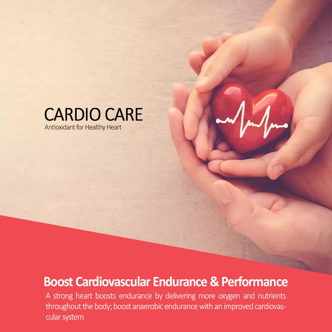 ANC Cardio Care Arjuna Extract & Moringa Extract for Heart Health & Cho- image 8