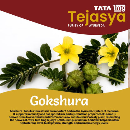 Tata 1mg Tejasya Gokshura Capsule Helps In Maintain Energy, Strength, Reduce fatigue (Pack of 1, 500mg)